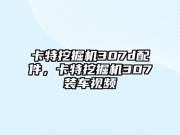 卡特挖掘機307d配件，卡特挖掘機307裝車視頻