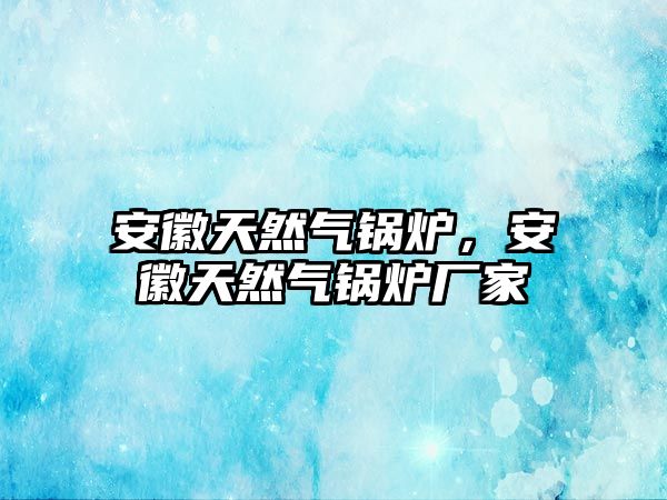 安徽天然氣鍋爐，安徽天然氣鍋爐廠(chǎng)家