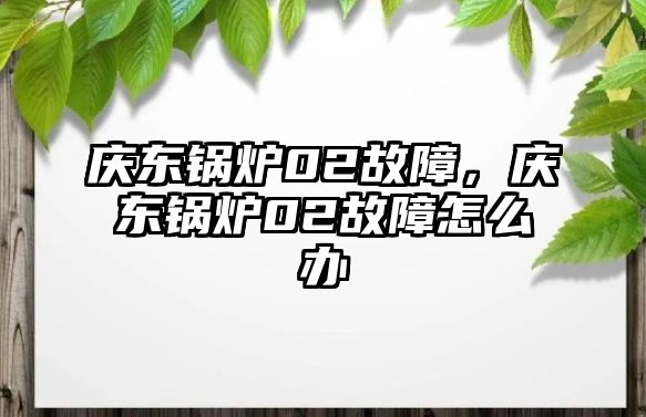 慶東鍋爐02故障，慶東鍋爐02故障怎么辦