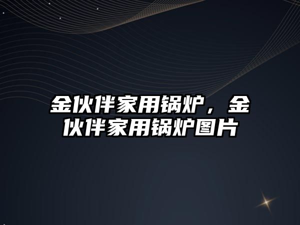 金伙伴家用鍋爐，金伙伴家用鍋爐圖片