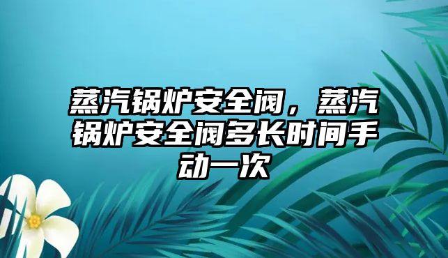 蒸汽鍋爐安全閥，蒸汽鍋爐安全閥多長時間手動一次