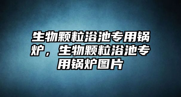 生物顆粒浴池專用鍋爐，生物顆粒浴池專用鍋爐圖片