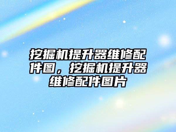 挖掘機提升器維修配件圖，挖掘機提升器維修配件圖片