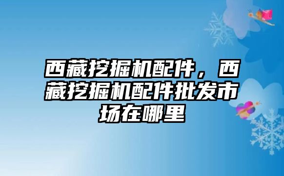 西藏挖掘機(jī)配件，西藏挖掘機(jī)配件批發(fā)市場(chǎng)在哪里