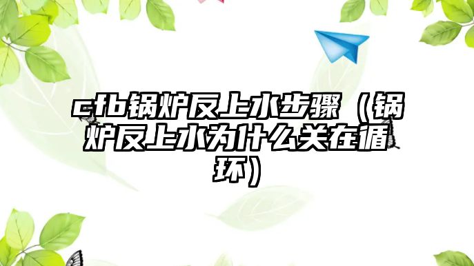 cfb鍋爐反上水步驟（鍋爐反上水為什么關在循環(huán)）