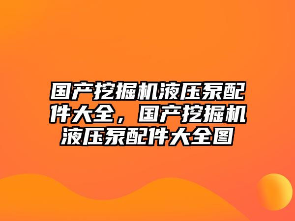 國產(chǎn)挖掘機液壓泵配件大全，國產(chǎn)挖掘機液壓泵配件大全圖