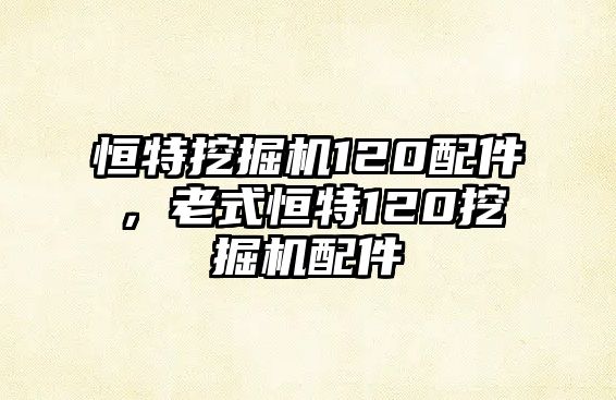 恒特挖掘機120配件，老式恒特120挖掘機配件