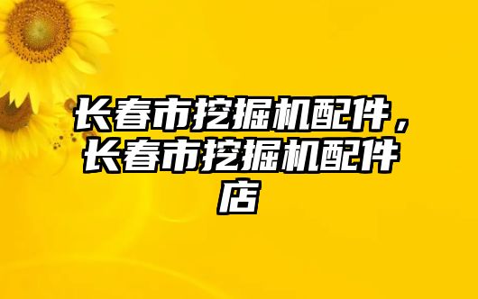 長春市挖掘機配件，長春市挖掘機配件店