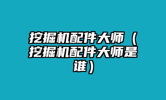 挖掘機(jī)配件大師（挖掘機(jī)配件大師是誰）