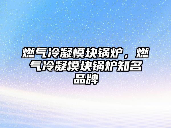 燃?xì)饫淠K鍋爐，燃?xì)饫淠K鍋爐知名品牌