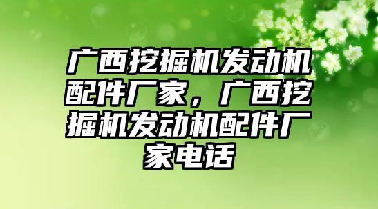 廣西挖掘機發(fā)動機配件廠家，廣西挖掘機發(fā)動機配件廠家電話