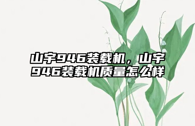 山宇946裝載機(jī)，山宇946裝載機(jī)質(zhì)量怎么樣