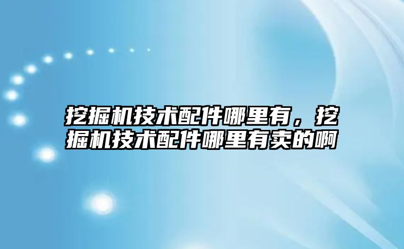 挖掘機技術配件哪里有，挖掘機技術配件哪里有賣的啊