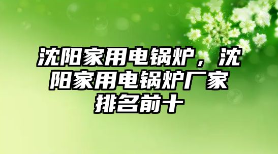 沈陽家用電鍋爐，沈陽家用電鍋爐廠家排名前十