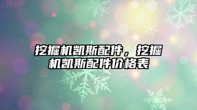 挖掘機(jī)凱斯配件，挖掘機(jī)凱斯配件價(jià)格表