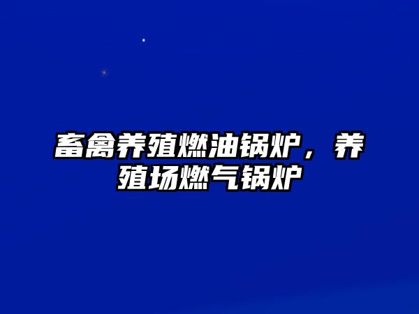 畜禽養(yǎng)殖燃油鍋爐，養(yǎng)殖場(chǎng)燃?xì)忮仩t