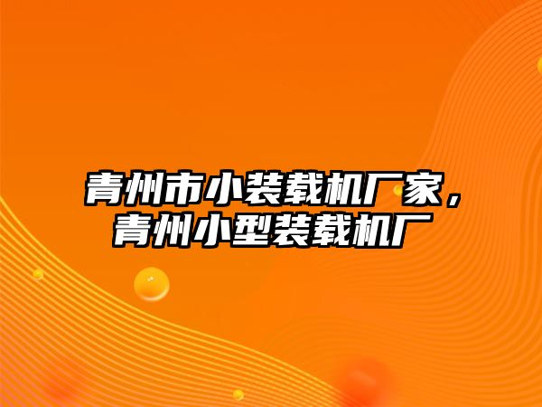 青州市小裝載機(jī)廠家，青州小型裝載機(jī)廠