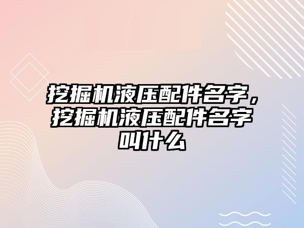 挖掘機液壓配件名字，挖掘機液壓配件名字叫什么