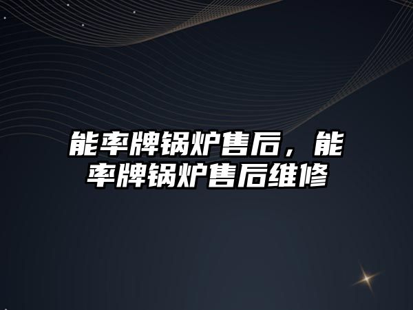 能率牌鍋爐售后，能率牌鍋爐售后維修