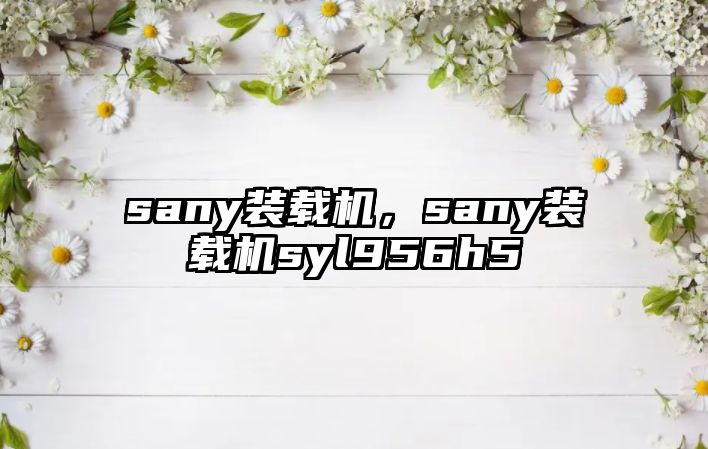 sany裝載機(jī)，sany裝載機(jī)syl956h5