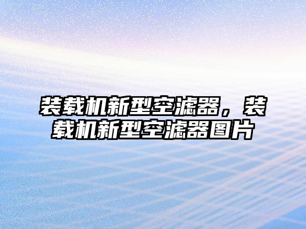 裝載機(jī)新型空濾器，裝載機(jī)新型空濾器圖片