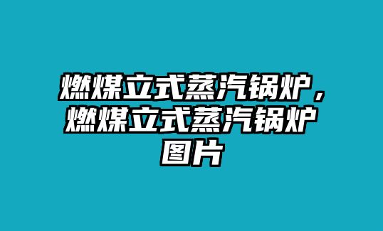 燃煤立式蒸汽鍋爐，燃煤立式蒸汽鍋爐圖片