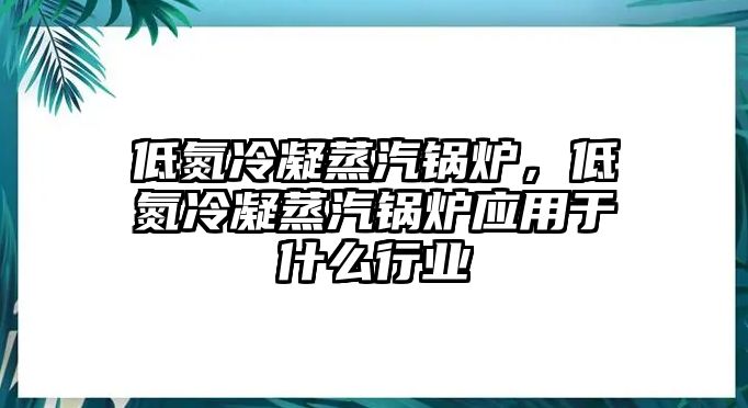 低氮冷凝蒸汽鍋爐，低氮冷凝蒸汽鍋爐應(yīng)用于什么行業(yè)