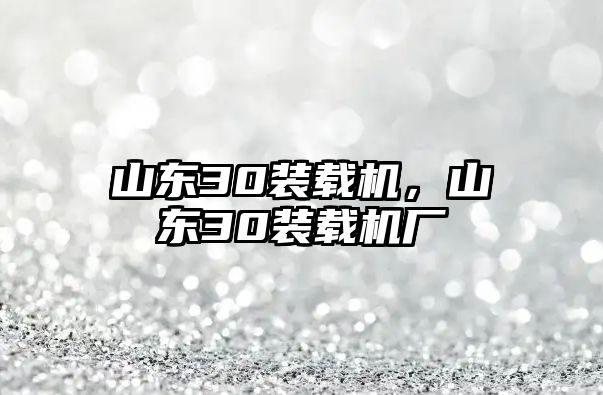 山東30裝載機，山東30裝載機廠