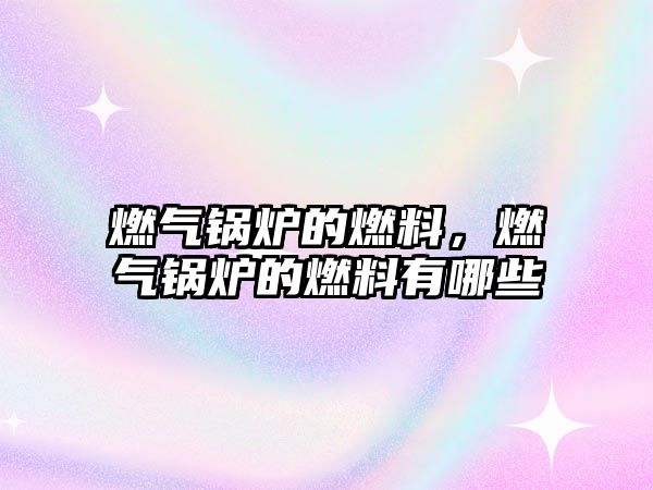 燃?xì)忮仩t的燃料，燃?xì)忮仩t的燃料有哪些