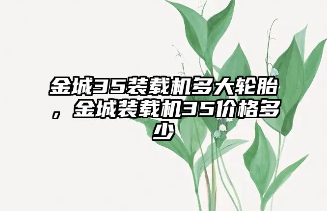 金城35裝載機多大輪胎，金城裝載機35價格多少