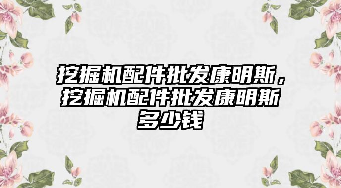 挖掘機配件批發(fā)康明斯，挖掘機配件批發(fā)康明斯多少錢