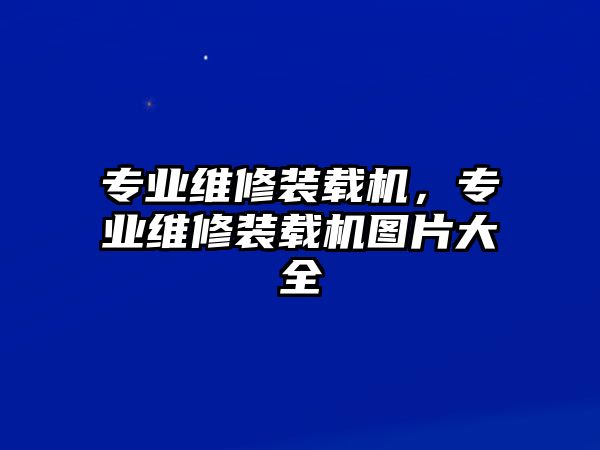 專業(yè)維修裝載機(jī)，專業(yè)維修裝載機(jī)圖片大全