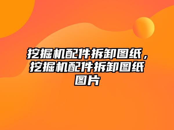 挖掘機配件拆卸圖紙，挖掘機配件拆卸圖紙圖片