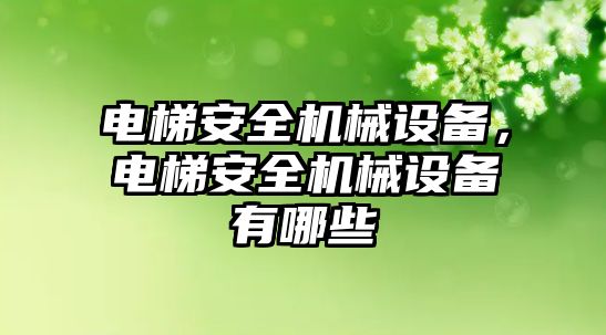 電梯安全機械設(shè)備，電梯安全機械設(shè)備有哪些