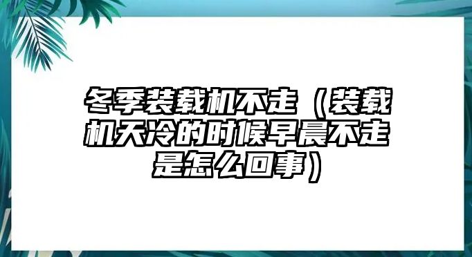 冬季裝載機(jī)不走（裝載機(jī)天冷的時(shí)候早晨不走是怎么回事）