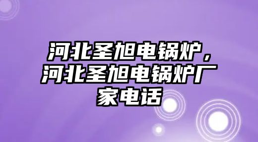 河北圣旭電鍋爐，河北圣旭電鍋爐廠家電話