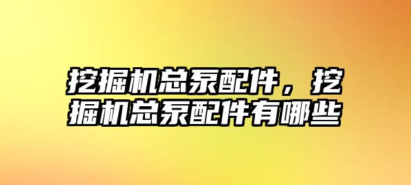 挖掘機總泵配件，挖掘機總泵配件有哪些