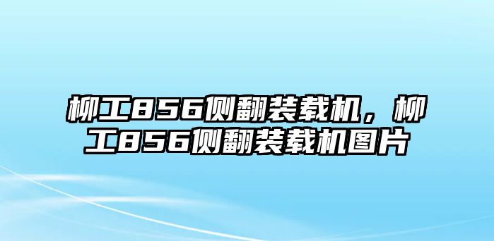 柳工856側(cè)翻裝載機(jī)，柳工856側(cè)翻裝載機(jī)圖片