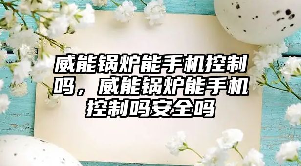 威能鍋爐能手機控制嗎，威能鍋爐能手機控制嗎安全嗎