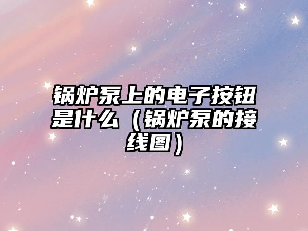 鍋爐泵上的電子按鈕是什么（鍋爐泵的接線圖）