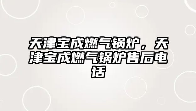 天津?qū)毘扇細(xì)忮仩t，天津?qū)毘扇細(xì)忮仩t售后電話