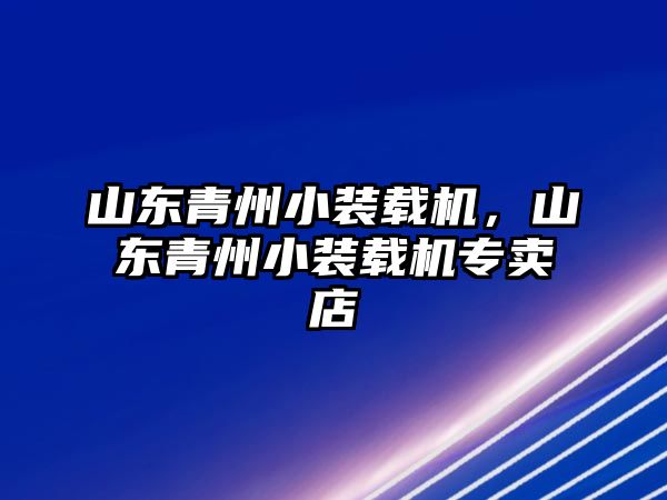 山東青州小裝載機，山東青州小裝載機專賣店