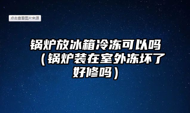 鍋爐放冰箱冷凍可以嗎（鍋爐裝在室外凍壞了好修嗎）