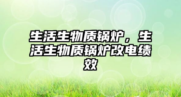 生活生物質(zhì)鍋爐，生活生物質(zhì)鍋爐改電績(jī)效