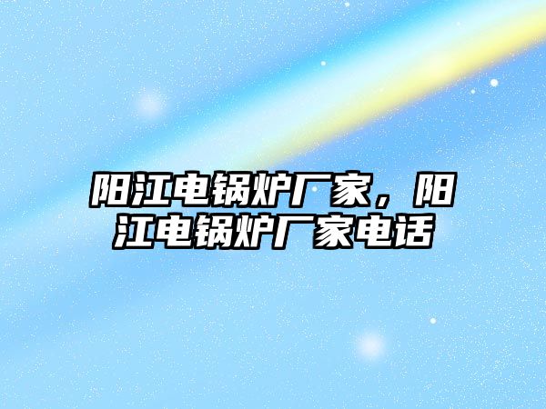 陽江電鍋爐廠家，陽江電鍋爐廠家電話