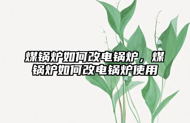 煤鍋爐如何改電鍋爐，煤鍋爐如何改電鍋爐使用