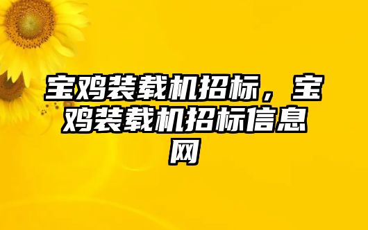 寶雞裝載機(jī)招標(biāo)，寶雞裝載機(jī)招標(biāo)信息網(wǎng)