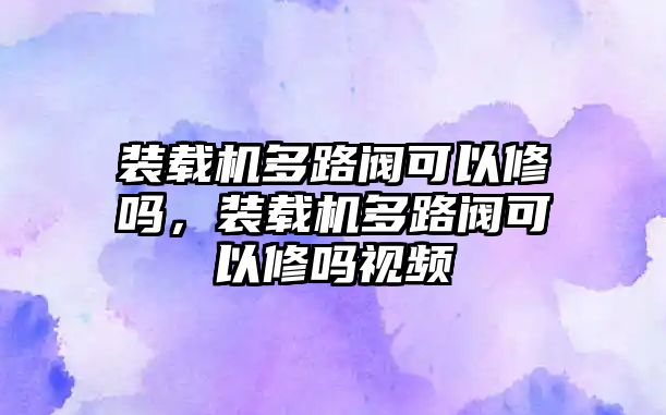 裝載機(jī)多路閥可以修嗎，裝載機(jī)多路閥可以修嗎視頻