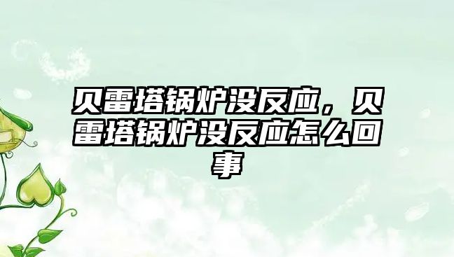 貝雷塔鍋爐沒反應(yīng)，貝雷塔鍋爐沒反應(yīng)怎么回事