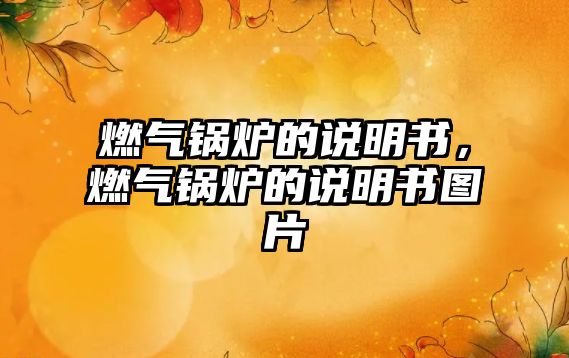 燃?xì)忮仩t的說明書，燃?xì)忮仩t的說明書圖片